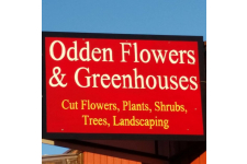 Odden Flowers & Greenhouse